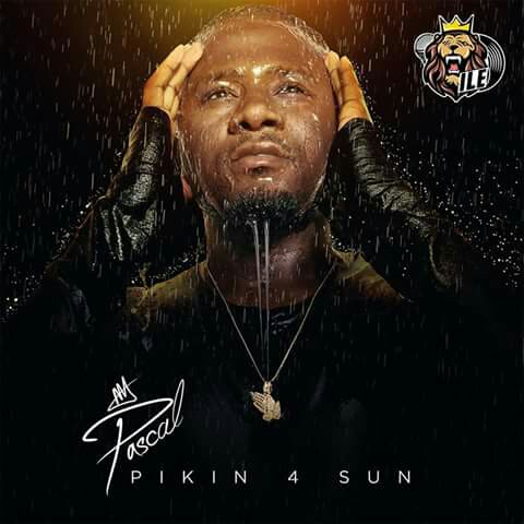 Pascal-Pikin-4-sun