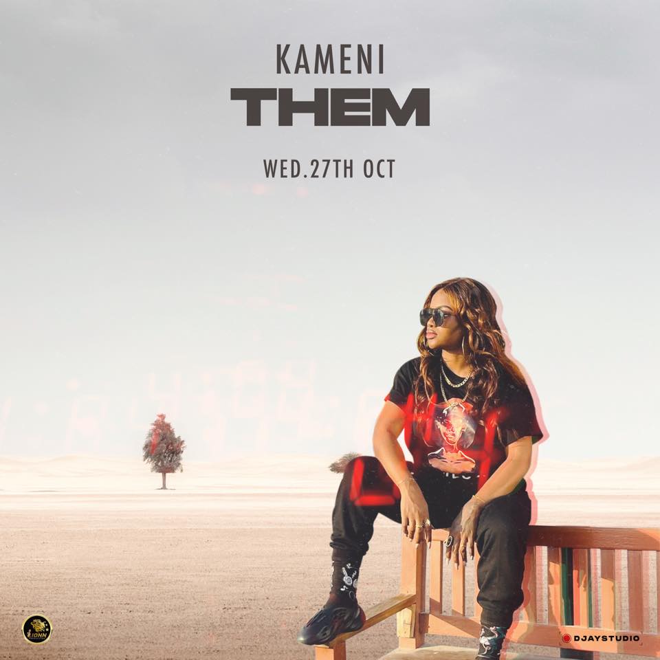 Download: Kameni - Them