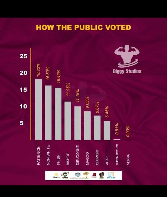 Picture representation of the voting poles