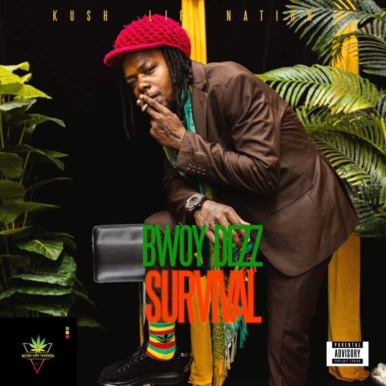 Bwoy Dezz - Survival (Official Album Cover)