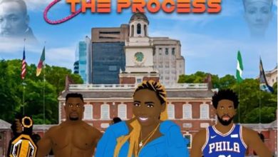 Ziiana - The Process