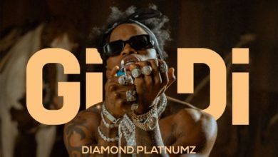 Diamond Platnumz - Gidi