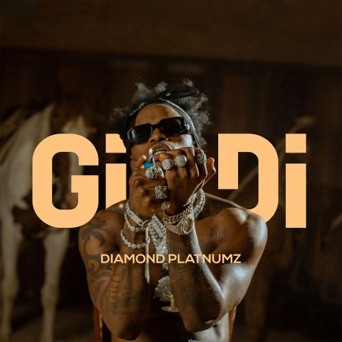 Diamond Platnumz - Gidi