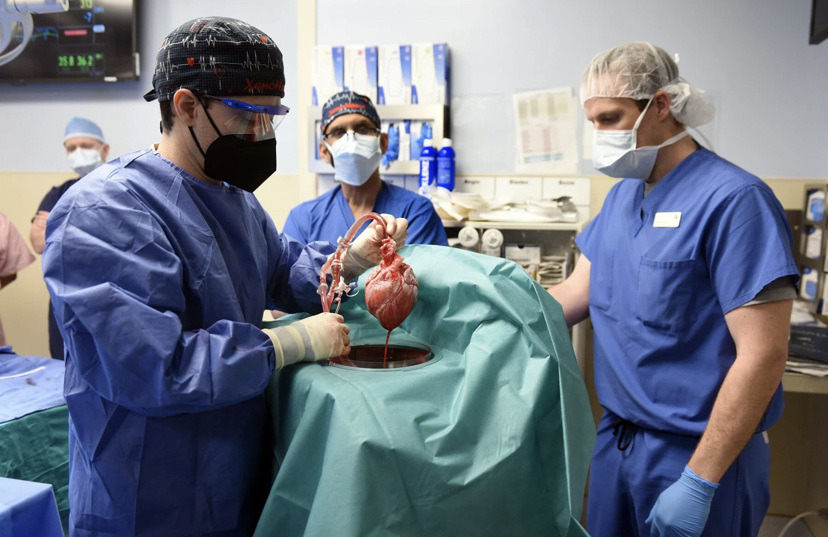 US Man Dies Two Months After Getting The First Pig Heart Transplant 