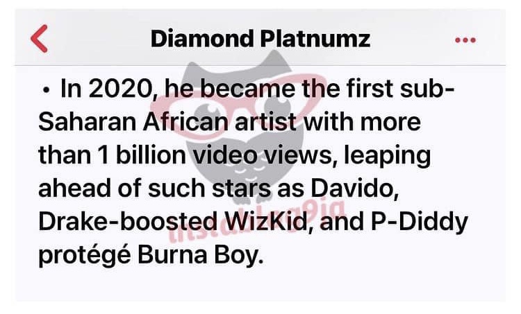 Diamond Platnumz Shades Wizkid and Burna Boy in his Official Bio