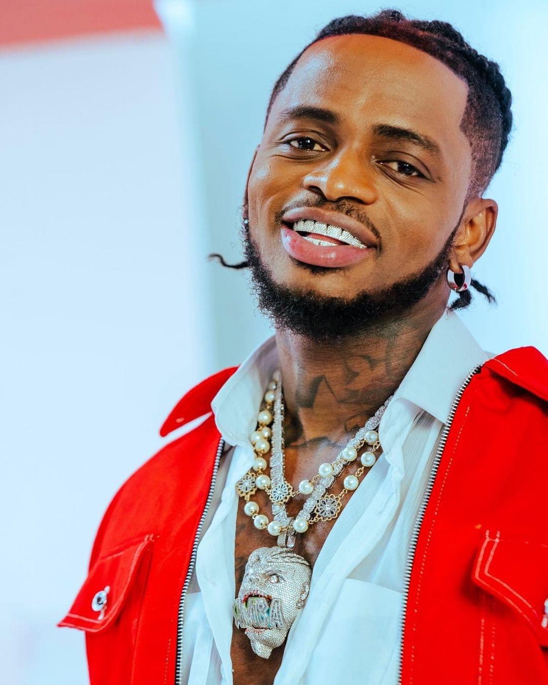 Diamond Platnumz Shades Wizkid and Burna Boy in his Official Bio