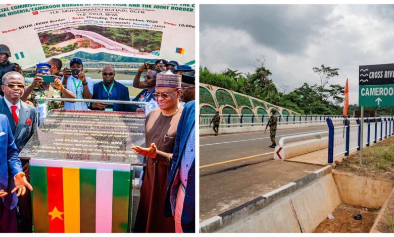 Cameroon and Nigeria inaugurate bridge linking both Nations