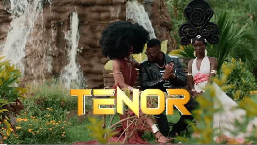 TENOR - CONSEIL GRATUIT