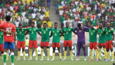 The Indomitable Lions of Cameroon